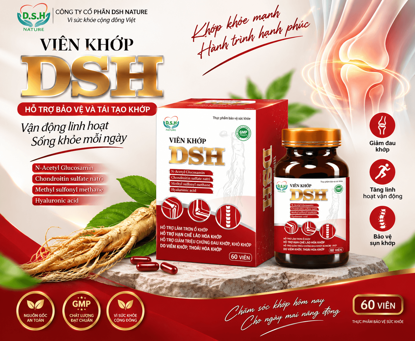 Hướng dẫn chăm sóc sức khỏe xương khớp vận động linh hoạt cho người cao tuổi
